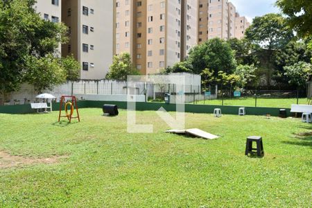 Apartamento para alugar com 49m², 2 quartos e 1 vagaCachorrodromo 