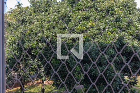 Apartamento à venda com 62m², 2 quartos e 1 vagaVista do Quarto 2