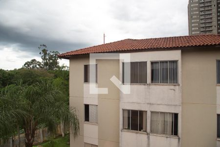 Vista da janela da sala de apartamento para alugar com 1 quarto, 40m² em Vila Amélia, Ribeirão Preto