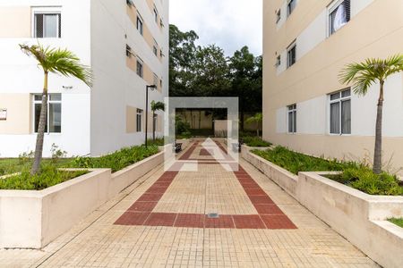 Apartamento para alugar com 64m², 3 quartos e 1 vaga Apartamento para alugar com 64m², 3 quartos e 1 vagaÁrea Comum