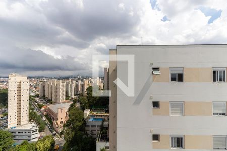 Apartamento para alugar com 64m², 3 quartos e 1 vaga Apartamento para alugar com 64m², 3 quartos e 1 vagaVista do Quarto 2