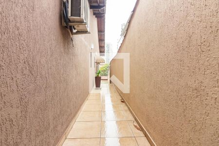 Casa à venda com 300m², 3 quartos e 4 vagas Casa à venda com 300m², 3 quartos e 4 vagasQuintal