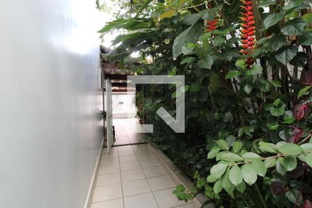 Casa à venda com 320m², 3 quartos e 3 vagasQuintal lateral - Jardim