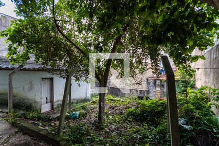Quintal  de casa à venda com 1 quarto, 330m² em Vila São Geraldo, São Paulo