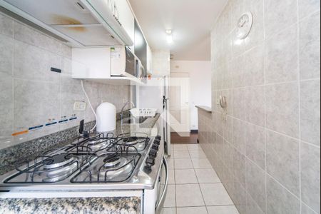 Cozinha  de apartamento para alugar com 2 quartos, 50m² em Vila América, Santo André