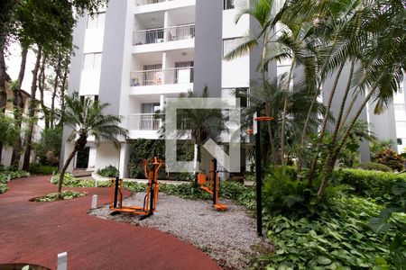 Apartamento para alugar com 80m², 3 quartos e 2 vagas Apartamento para alugar com 80m², 3 quartos e 2 vagasÁrea Comum - Academia Aberta