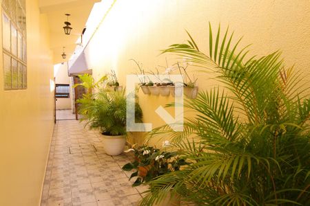 Casa à venda com 850m², 7 quartos e 8 vagasQuintal