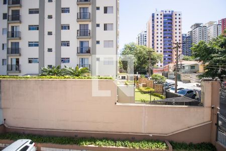 Vista de kitnet/studio para alugar com 1 quarto, 38m² em Vila Mascote, São Paulo
