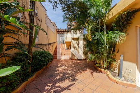 Casa à venda com 950m², 5 quartos e 4 vagasQuintal
