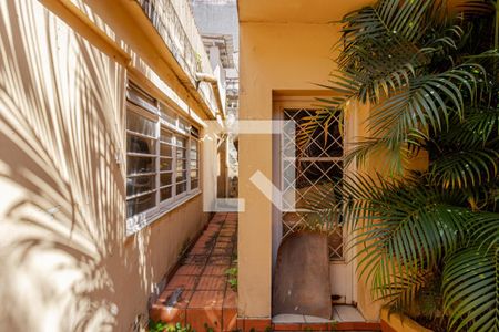 Casa à venda com 950m², 5 quartos e 4 vagasQuintal