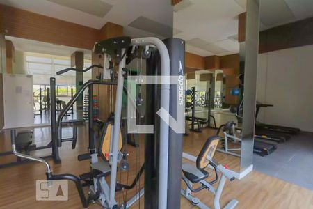 Apartamento para alugar com 64m², 2 quartos e 1 vaga Apartamento para alugar com 64m², 2 quartos e 1 vagaAcademia