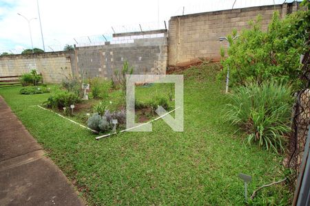 Apartamento à venda com 50m², 2 quartos e 1 vagaÁrea Comum - Plantas e ervas (horta)