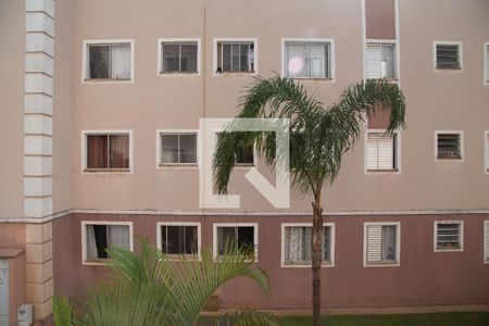 Apartamento para alugar com 55m², 2 quartos e 1 vaga Apartamento para alugar com 55m², 2 quartos e 1 vagaÁrea de serviço - vista da janela