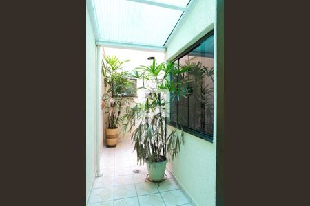 Jardim de Inverno de casa para alugar com 3 quartos, 198m² em Bangú, Santo André