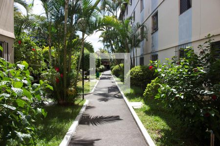 Apartamento para alugar com 66m², 2 quartos e 1 vaga Apartamento para alugar com 66m², 2 quartos e 1 vagaÁrea comum