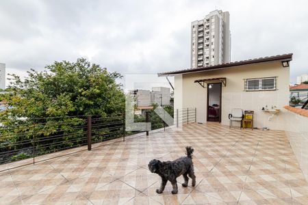 Casa à venda com 315m², 3 quartos e 2 vagasSacada da Suíte 2