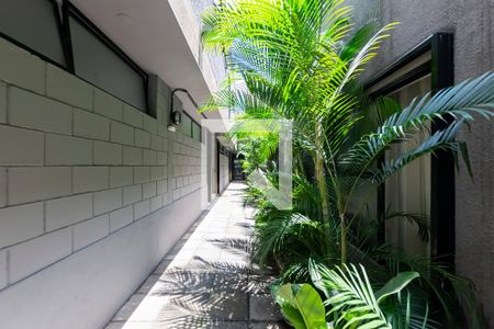 Apartamento para alugar com 50m², 1 quarto e sem vagaÁrea comum - Entrada