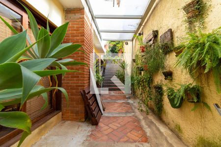 Casa para alugar com 350m², 3 quartos e 3 vagas Casa para alugar com 350m², 3 quartos e 3 vagasCorredor Lateral