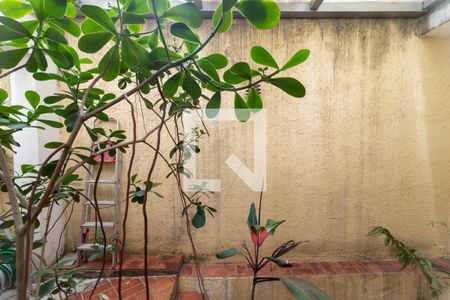 Casa para alugar com 350m², 3 quartos e 3 vagas Casa para alugar com 350m², 3 quartos e 3 vagasVista da Suíte 3