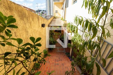 Casa para alugar com 350m², 3 quartos e 3 vagas Casa para alugar com 350m², 3 quartos e 3 vagasCorredor Lateral - Escada