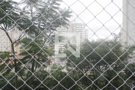 Vista da varanda de apartamento para alugar com 2 quartos, 57m² em Parque Reboucas, São Paulo