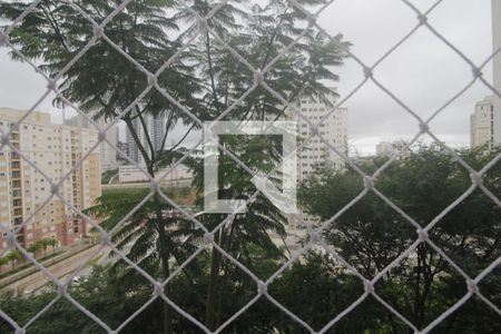 Vista do quarto de apartamento para alugar com 2 quartos, 57m² em Parque Reboucas, São Paulo