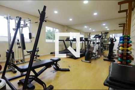 Apartamento para alugar com 60m², 3 quartos e 1 vaga Apartamento para alugar com 60m², 3 quartos e 1 vagaÁrea comum - Academia