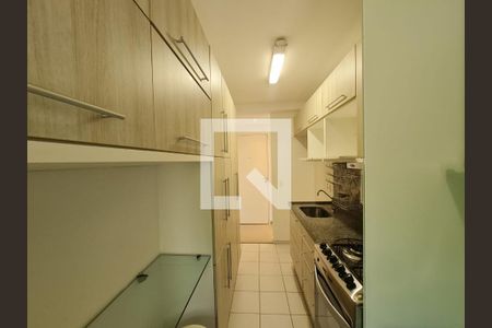 Apartamento para alugar com 60m², 3 quartos e 1 vaga Apartamento para alugar com 60m², 3 quartos e 1 vagaCozinha