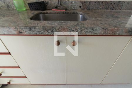 Apartamento para alugar com 60m², 2 quartos e 1 vagaCozinha - Armários