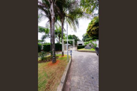 Apartamento para alugar com 2 quartos, 44m² em Estrela do Oriente, Belo Horizonte