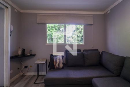 Sala de casa para alugar com 1 quarto, 110m² em Jardim Alfredo, São Paulo