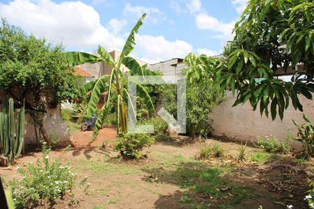 Quintal de casa à venda com 6 quartos, 600m² em Jardim Campos Eliseos, Campinas