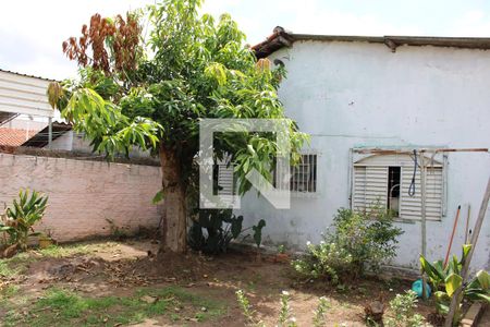 Quintal de casa à venda com 6 quartos, 600m² em Jardim Campos Eliseos, Campinas