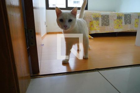 Quarto 1 - Dono do AP de apartamento à venda com 2 quartos, 104m² em São Geraldo, Porto Alegre