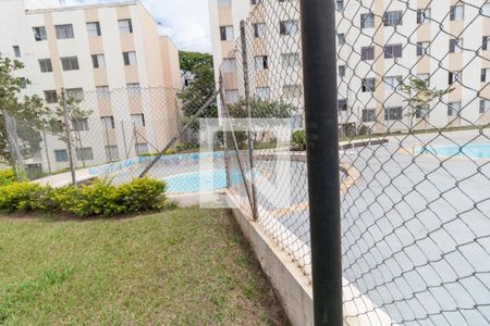 Área comum - Piscina de apartamento para alugar com 2 quartos, 53m² em Vila São Silvestre, São Paulo
