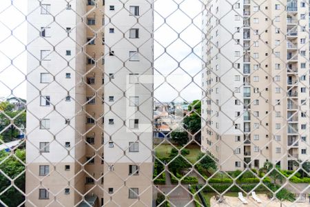 Vista da Varanda da Sala de apartamento para alugar com 2 quartos, 62m² em Vila Liviero, São Paulo