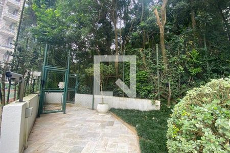 Área comum - Bosque de apartamento para alugar com 1 quarto, 82m² em Paraíso do Morumbi, São Paulo