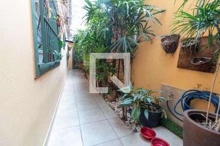 Casa à venda com 230m², 4 quartos e 2 vagas Casa à venda com 230m², 4 quartos e 2 vagasQuintal