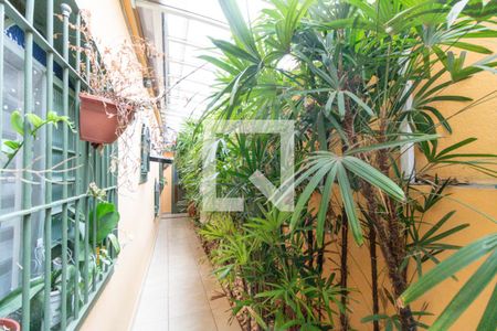 Casa à venda com 230m², 4 quartos e 2 vagas Casa à venda com 230m², 4 quartos e 2 vagasQuintal