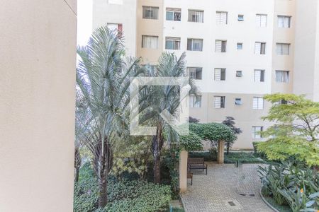 Vista Sala de apartamento para alugar com 2 quartos, 44m² em Água Branca, São Paulo