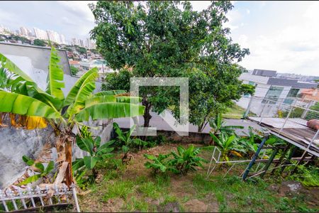 Casa à venda com 595m², 6 quartos e 4 vagasQuintal