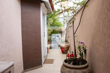 Casa à venda com 242m², 3 quartos e 3 vagas Casa à venda com 242m², 3 quartos e 3 vagasQuintal