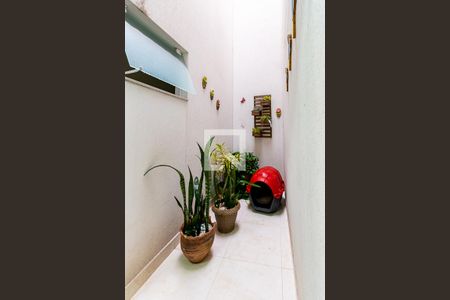 Jardim de inverno  de casa à venda com 3 quartos, 172m² em Cidade Patriarca, São Paulo