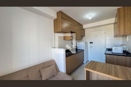 Sala e Cozinha de apartamento para alugar com 1 quarto, 29m² em Jardim Caravelas, São Paulo