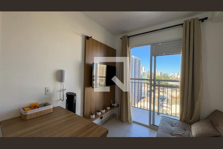 Sala e Cozinha de apartamento para alugar com 1 quarto, 29m² em Jardim Caravelas, São Paulo