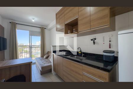 Sala e Cozinha de apartamento para alugar com 1 quarto, 29m² em Jardim Caravelas, São Paulo