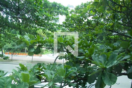 Apartamento à venda com 490m², 4 quartos e 1 vagaSala vista 