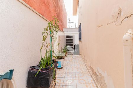 Casa à venda com 240m², 4 quartos e 3 vagasQuintal