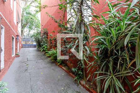 Casa à venda com 240m², 5 quartos e 3 vagas Casa à venda com 240m², 5 quartos e 3 vagasQuintal