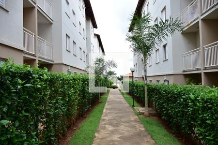 Apartamento para alugar com 49m², 2 quartos e 1 vagaÁrea Comum - Playground